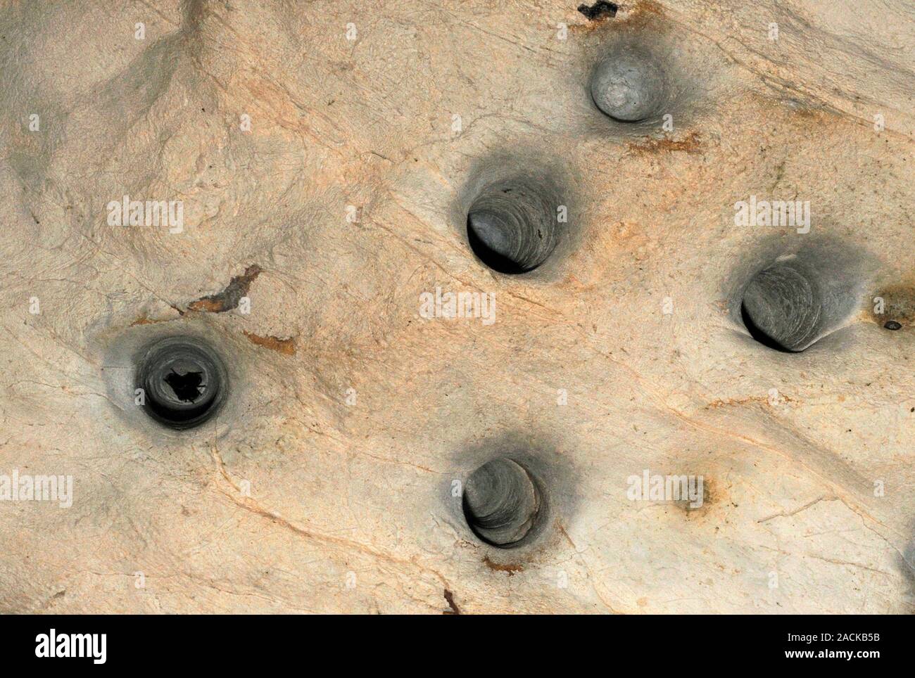 Bat Cave Roosting Holes Bats Roost In These Holes High Up On The bat-cave-roosting-holes-bats-roost-in-these-holes-high-up-on-the