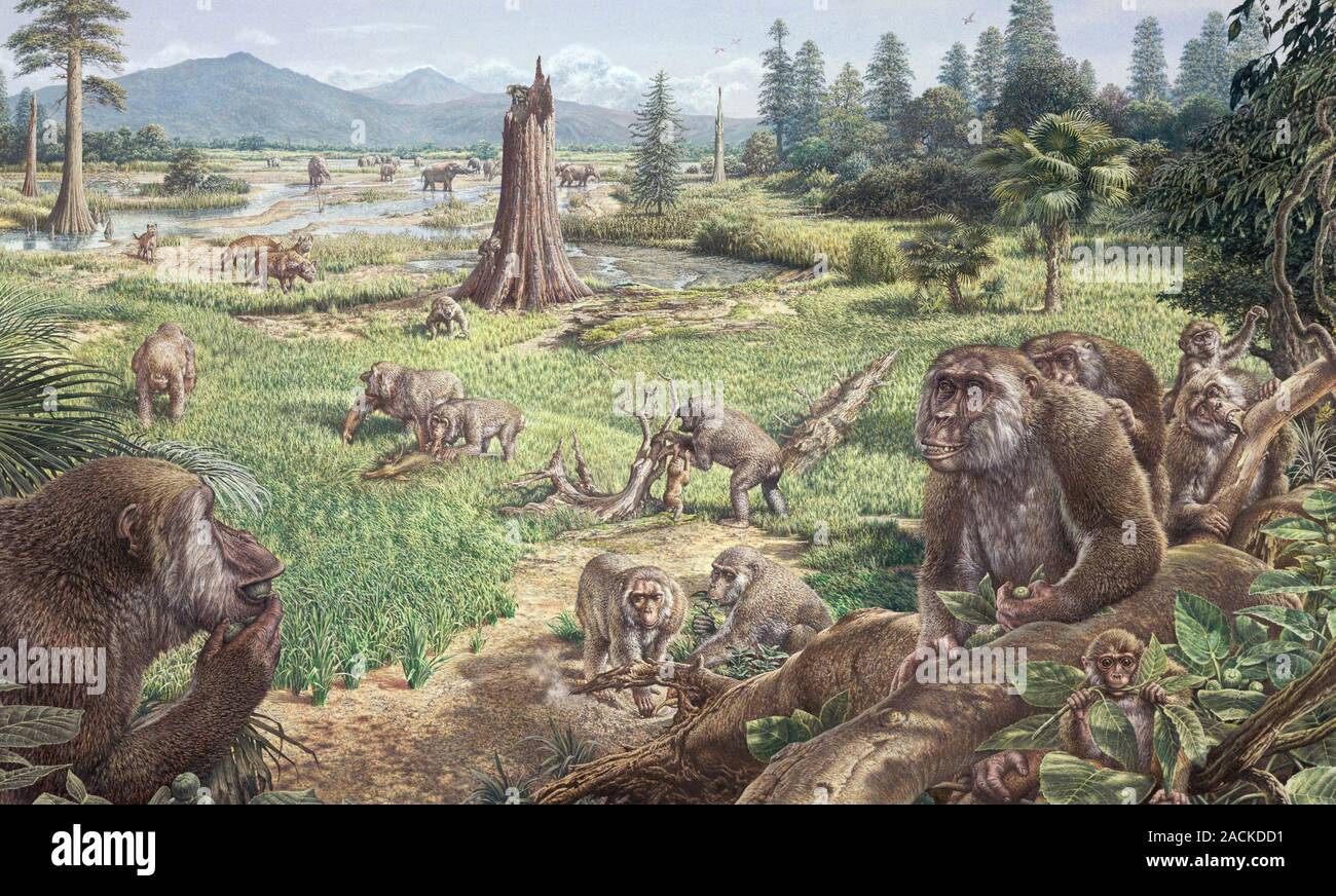 2 млн лет назад появился. 10 Миллионов лет назад. Неогеновый период. 25 Млн лет назад. Лес 65 миллионов лет назад.