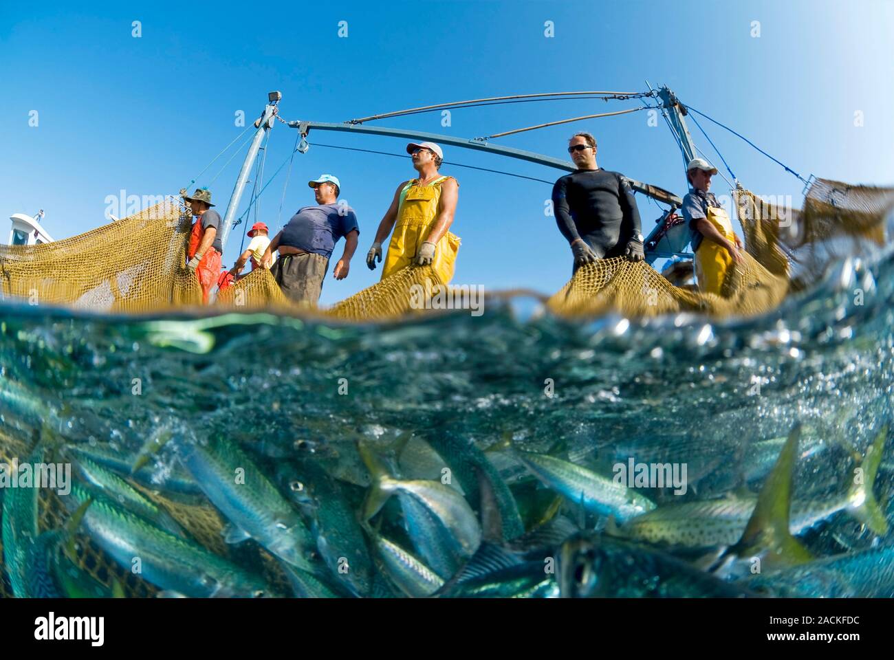 Промыслы в океане. Рыболовство. Рыбная ловля в океане. Промышленное рыболовство. Рыбный промысел Испании.