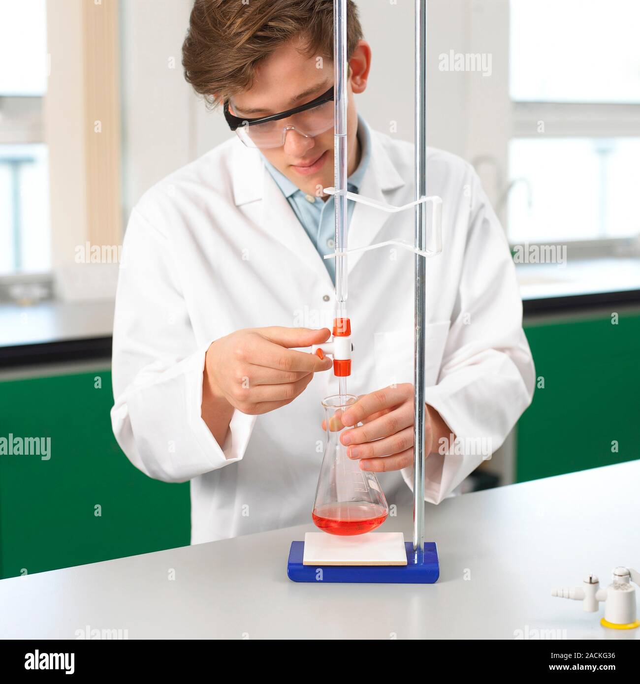 Titration experiment. Student using a burette and conical flask to