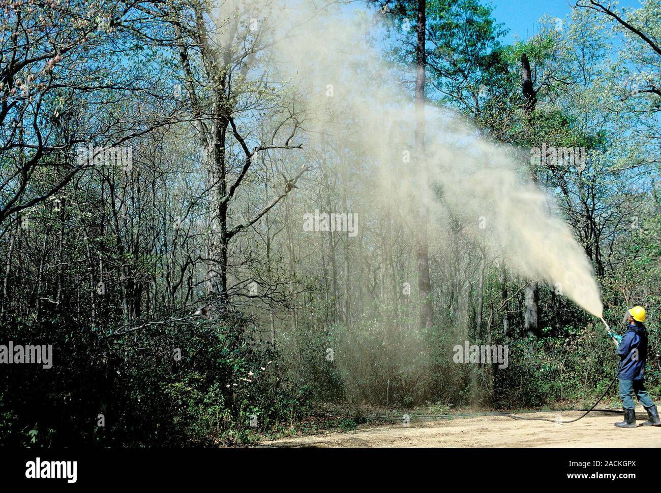 Pesticide spraying. Groundbased application of GYPCHEK, a virusbased