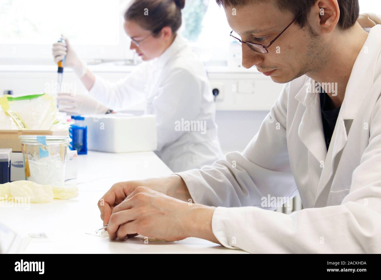Male and female scientists wearing white coats conduct research in a ...