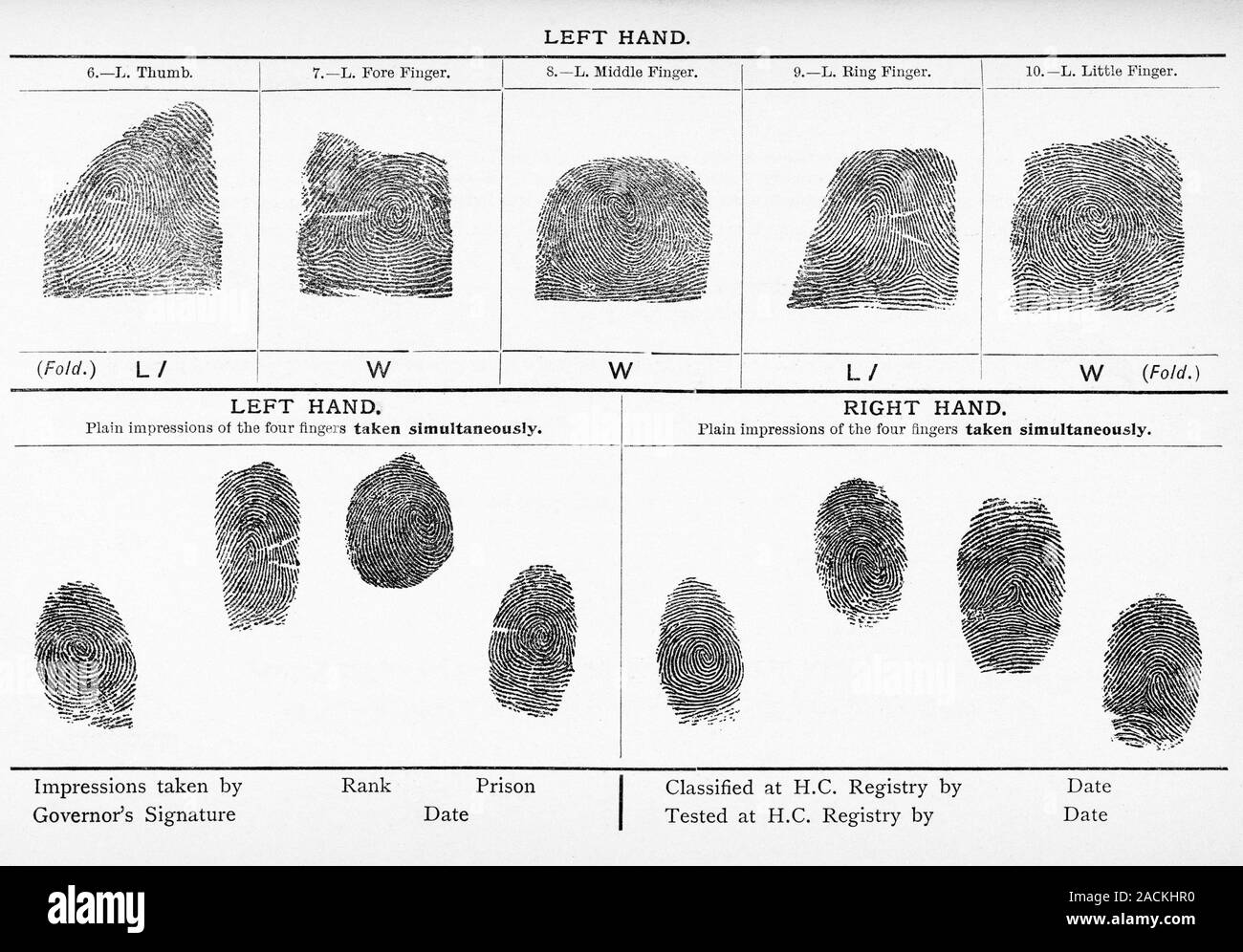 Fingerprints, historical image. Early 20th Century lithograph of male