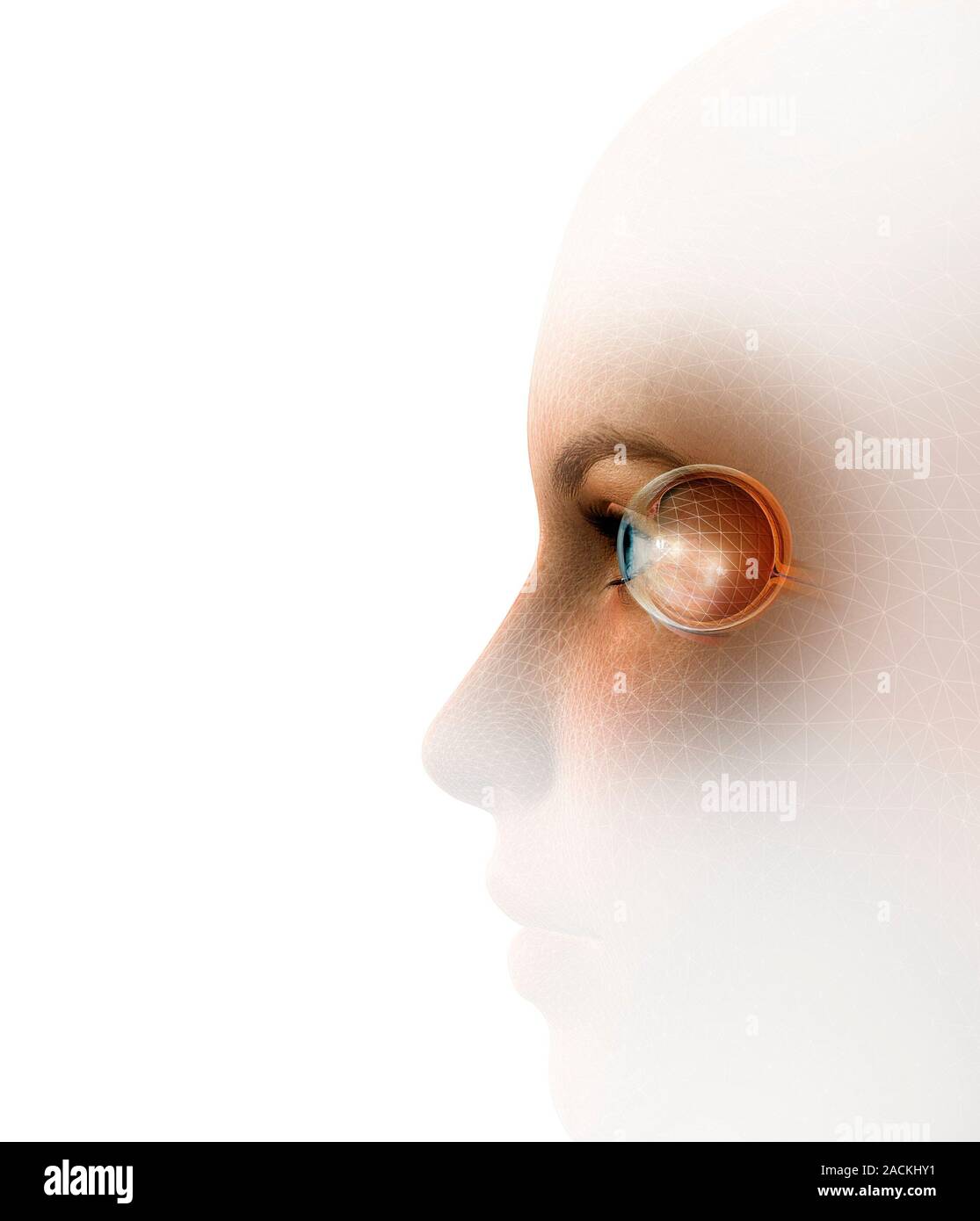 Biometric recognition, conceptual computer artwork. Stock Photo