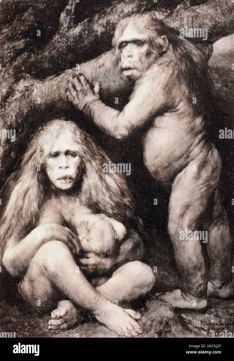 Pithecanthropus europeaus alalus (european speechless ape-man) by Gabriel Max, 1894, reproduced as Photogravure Plate 29 in Ernst Haeckel Naturliche Stock Photo