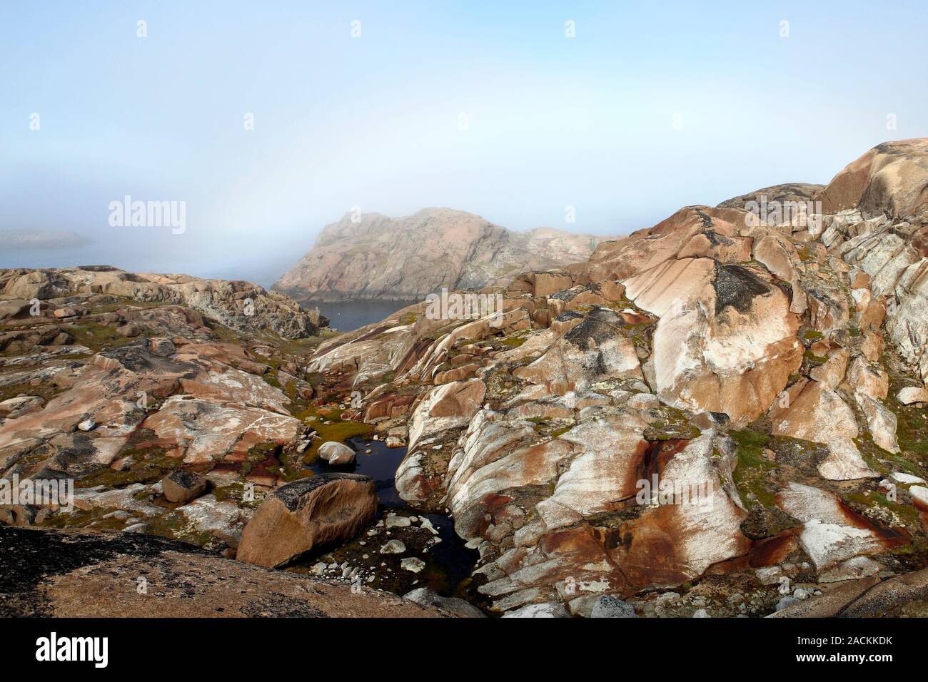 Greenland Coastal Rocks Greenland coastal landscape, with low-lying vegetation on rocky crags ...