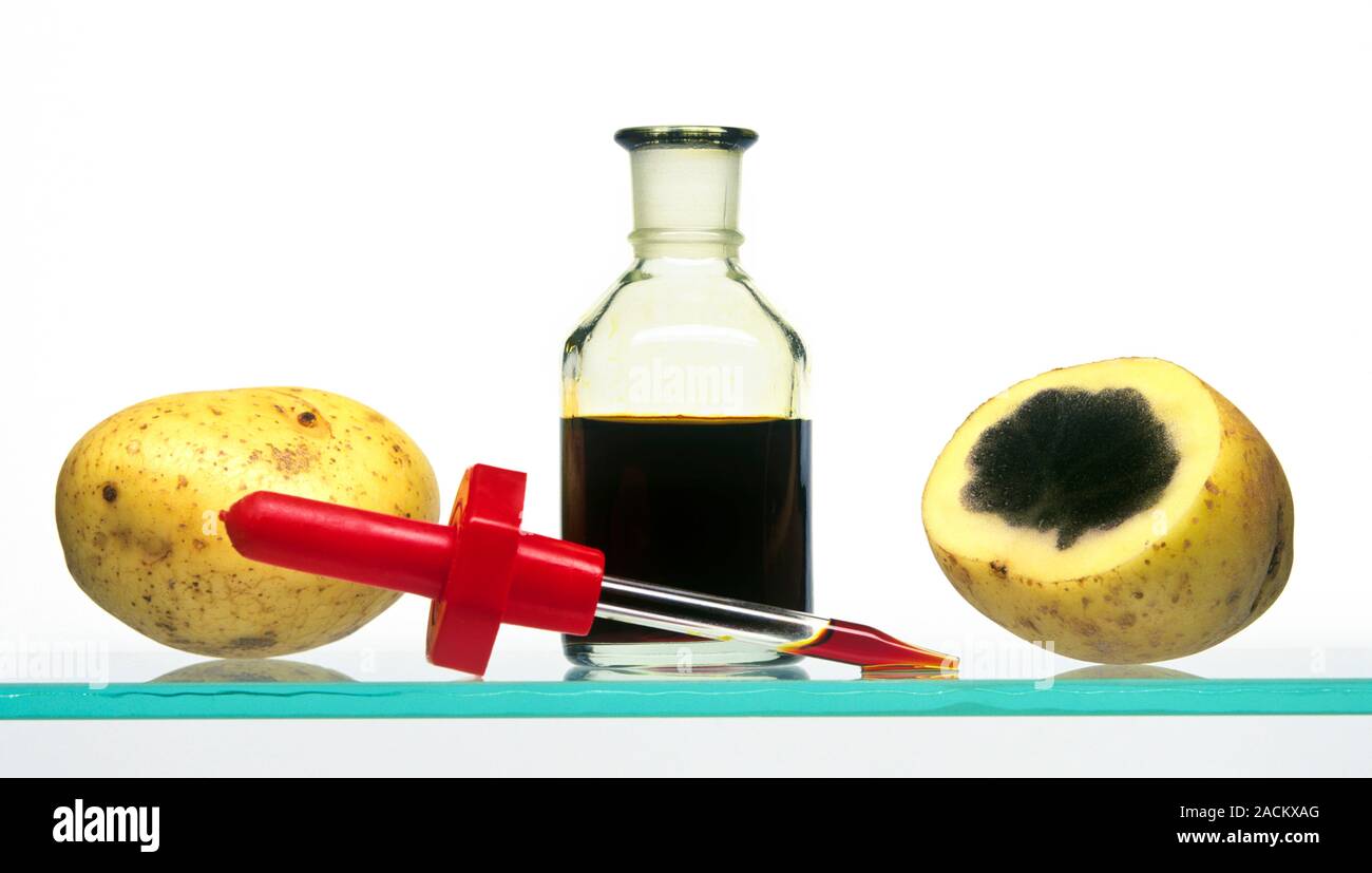 Iodine starch deals