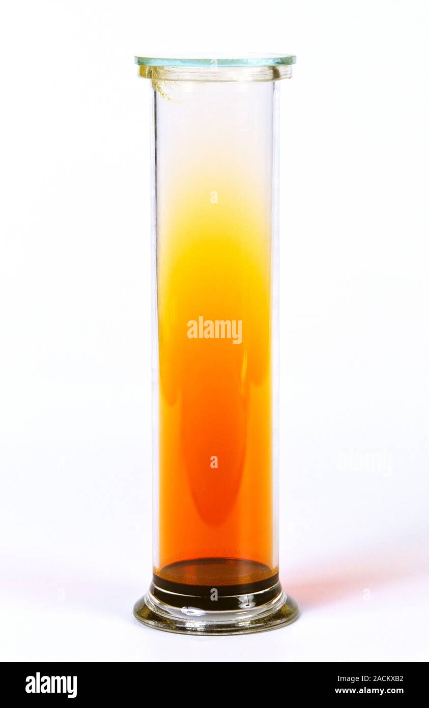 Bromine gas diffusion. Bromine vapour (orange) filling a gas jar as it evaporates from bromine liquid (dark brown, bottom of jar). Because gas molecul Stock Photo