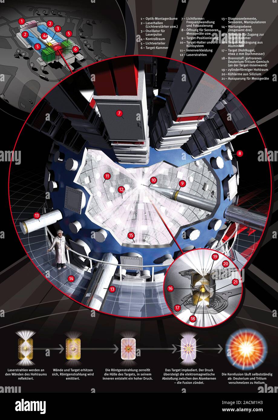 National Ignition Facility (NIF). Computer artwork showing the layout