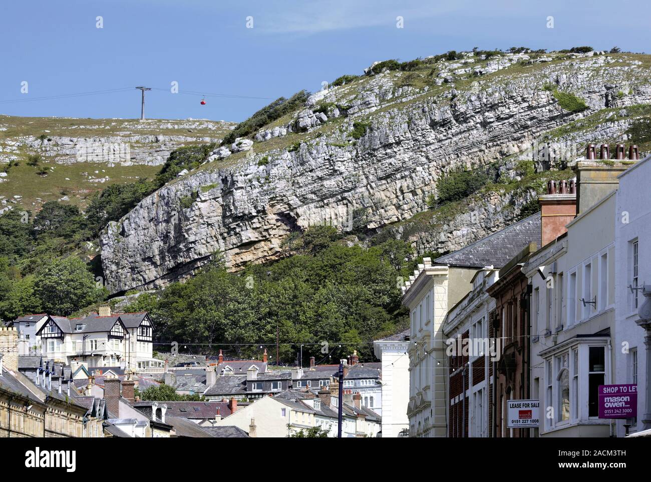 Great Orme limestone strata. Cliff (upper centre) with exposed inclined