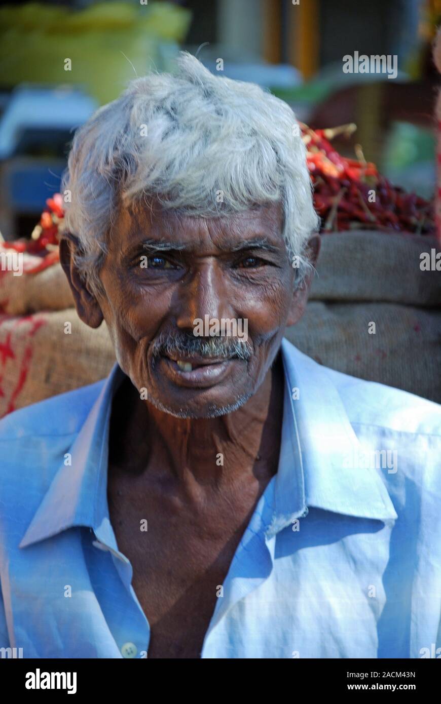 Old Man, Portrait, Sri Lanka, Ceylon, South Asia, Asia Stock Photo