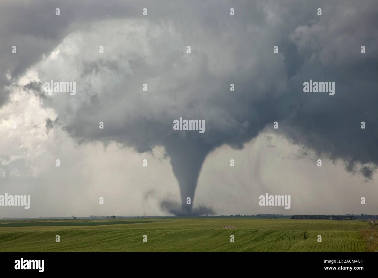 Tornado on the Great Plains of the USA. A tornado is a rapidly rotating ...