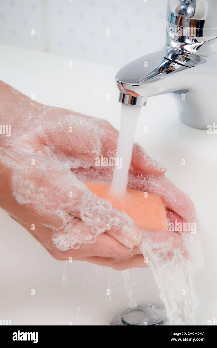 Swine flu protection hi-res stock photography and images - Alamy