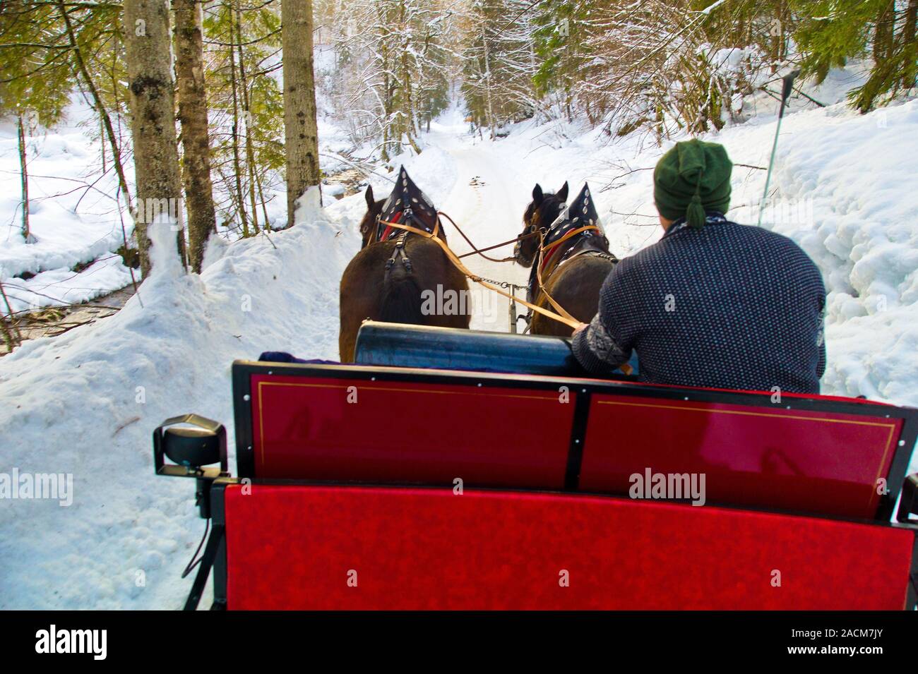 Horse drawn sleigh ride in winter hi-res stock photography and images ...