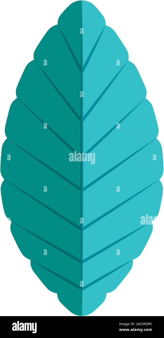 Isolated leaf icon vector design Stock Vector Image & Art - Alamy