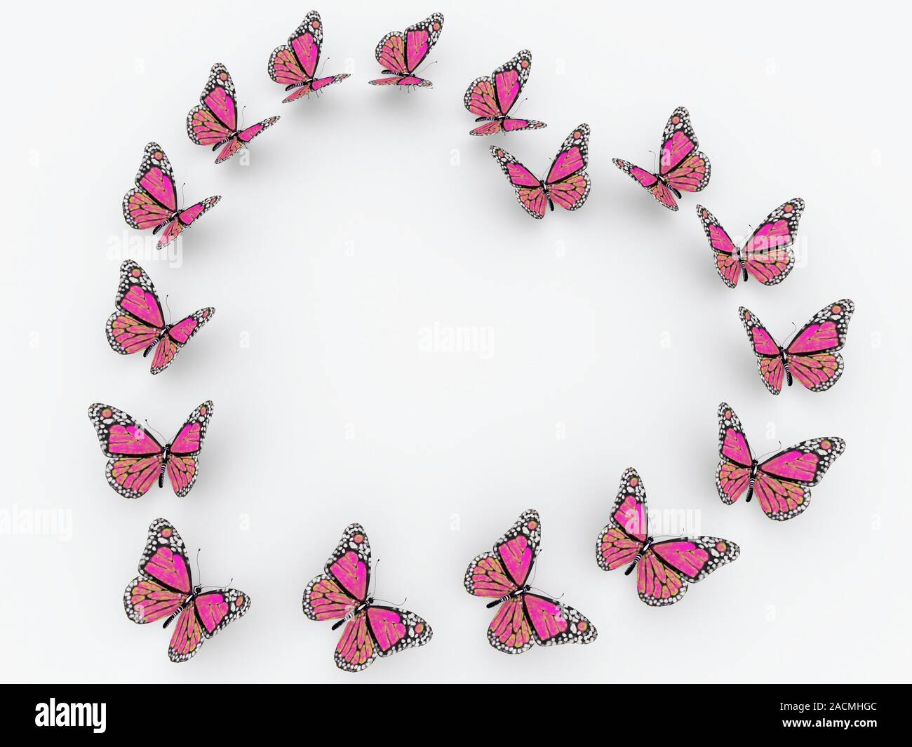 pink butterflies isolated on white background Stock Photo - Alamy