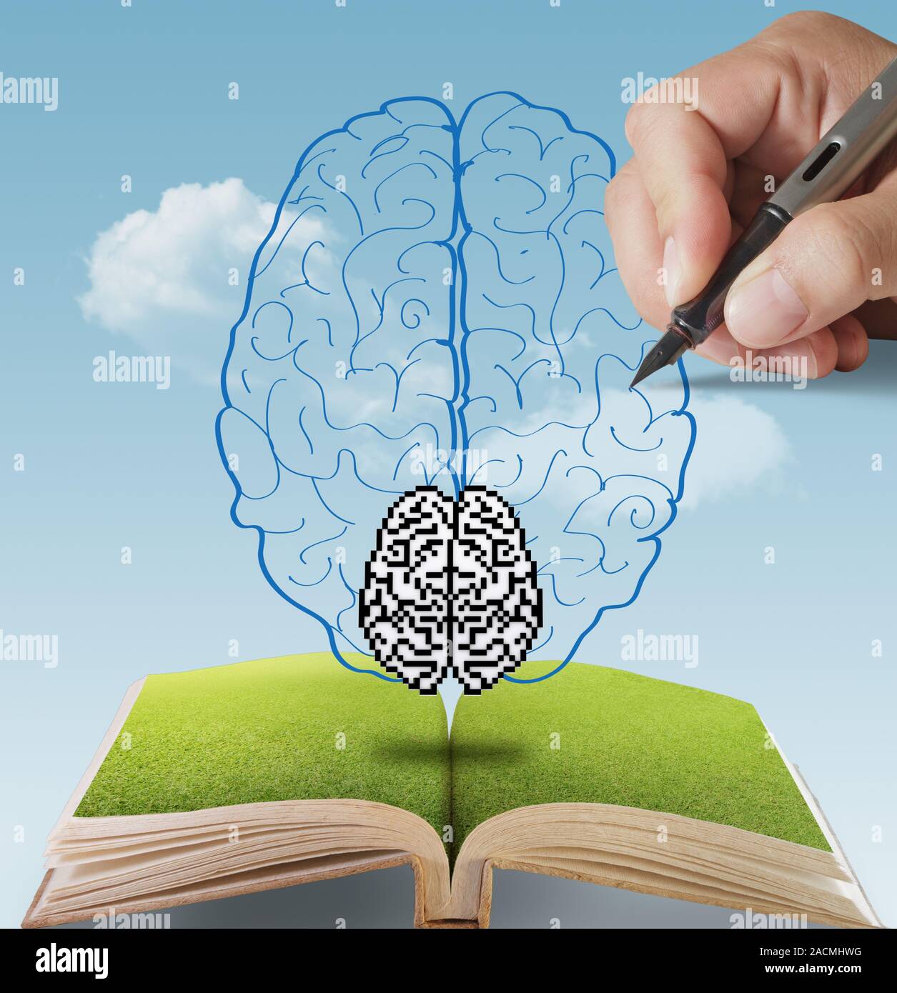 hand drawn pixel brain as concept Stock Photo