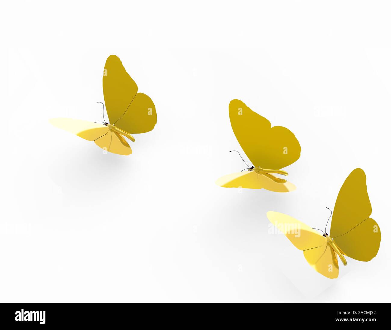Gold butterflies hi-res stock photography and images - Alamy