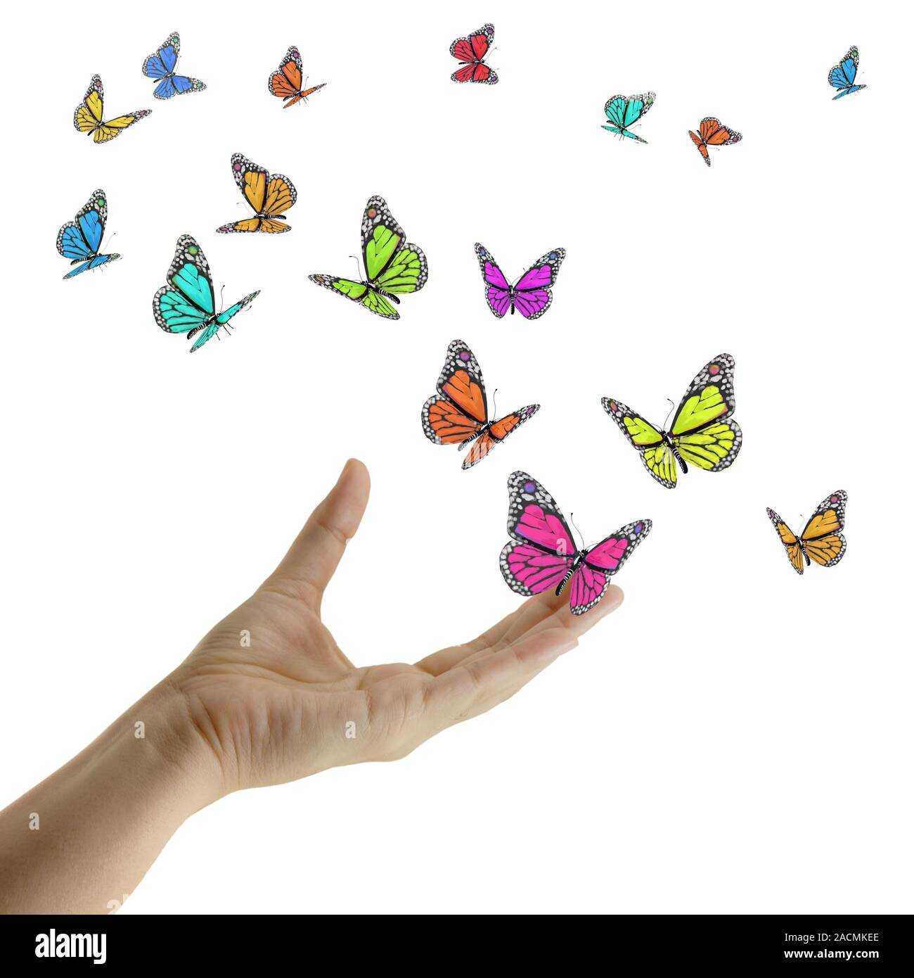 Hands releasing butterflies hires stock photography and images Alamy