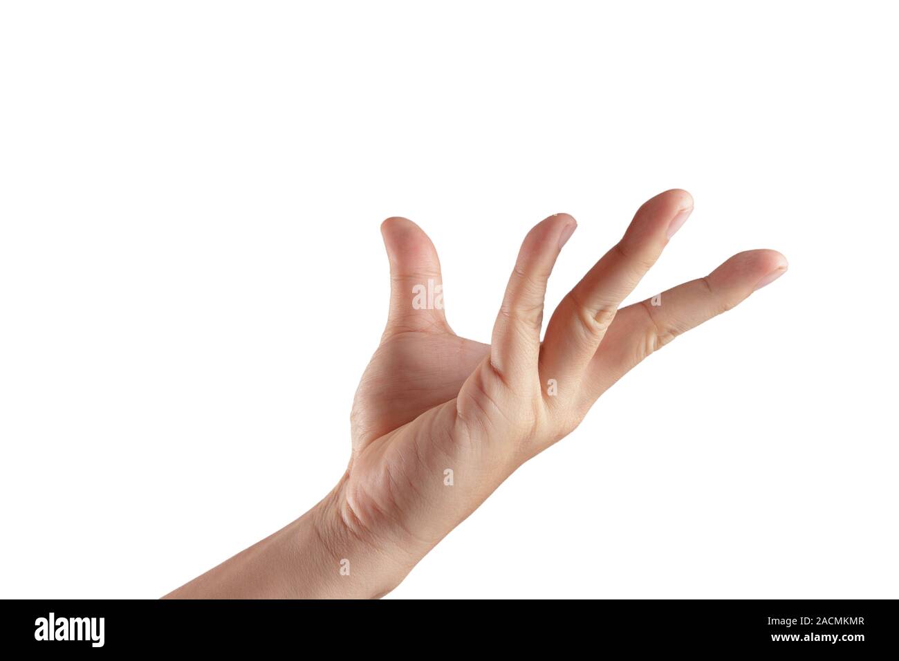 ладонь вверх. раскрытая ладонь. раскрытая ладонь. жест ладонь. раскрытая рука.