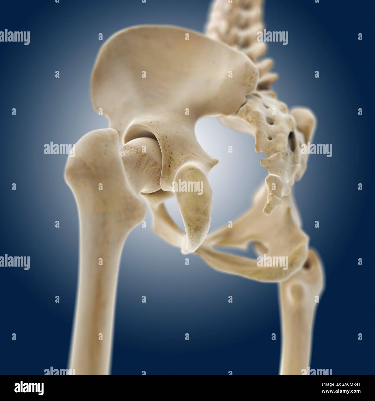 My Image 24