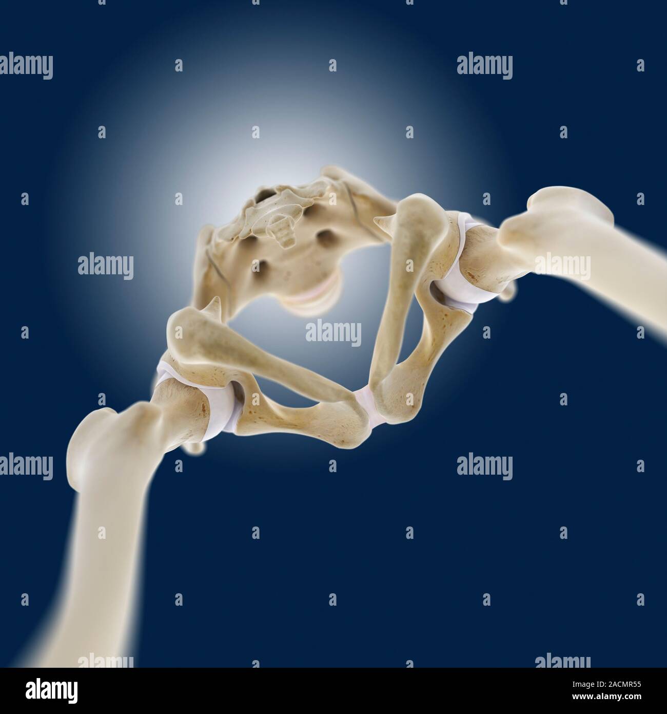 My Image 26