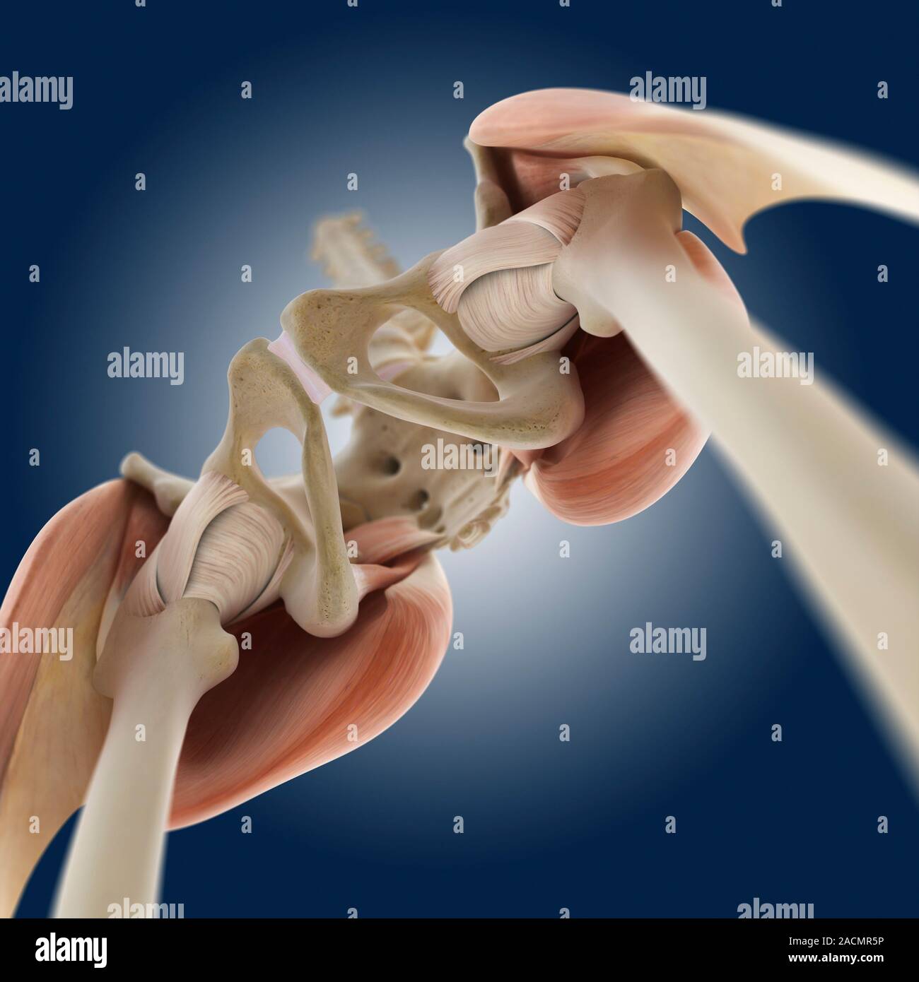 My Image 9