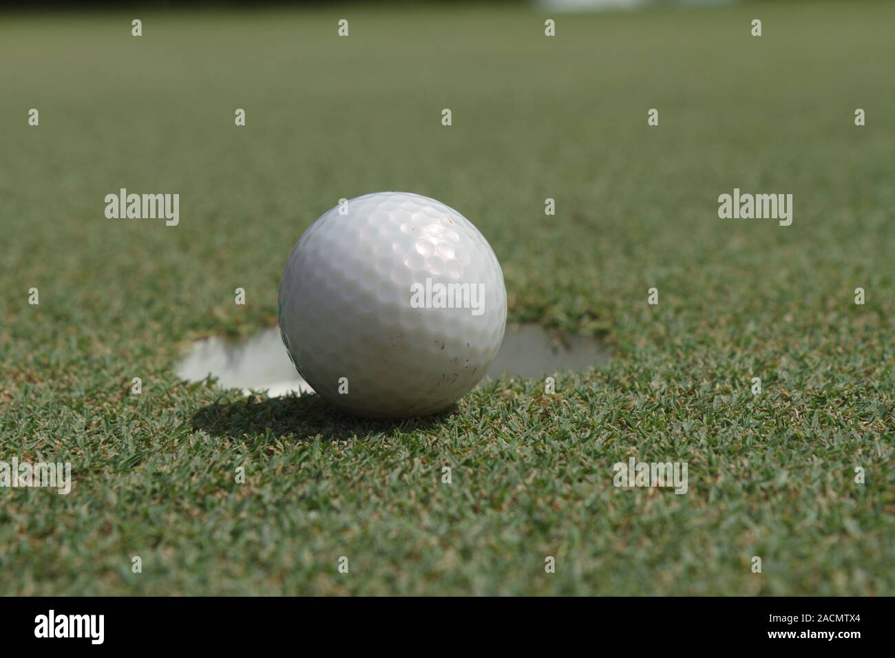 Golf ball on green Stock Photo Alamy