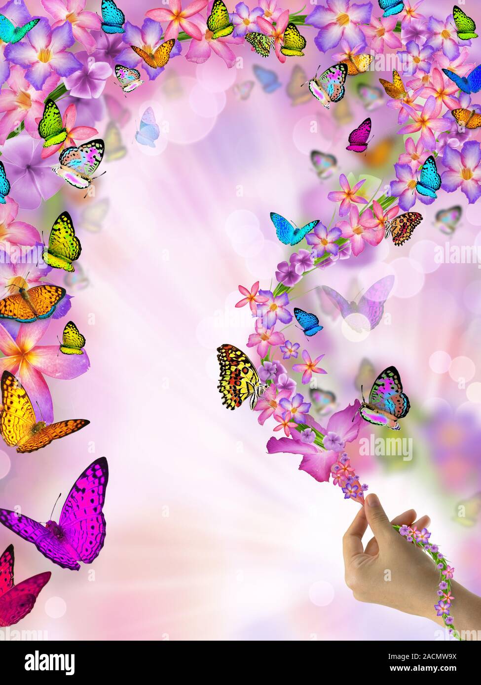 Бабочка обложка. Фон бабочки. Фон бабочки цветочки. Обложка бабочки. Фон с бабочками вертикальный.