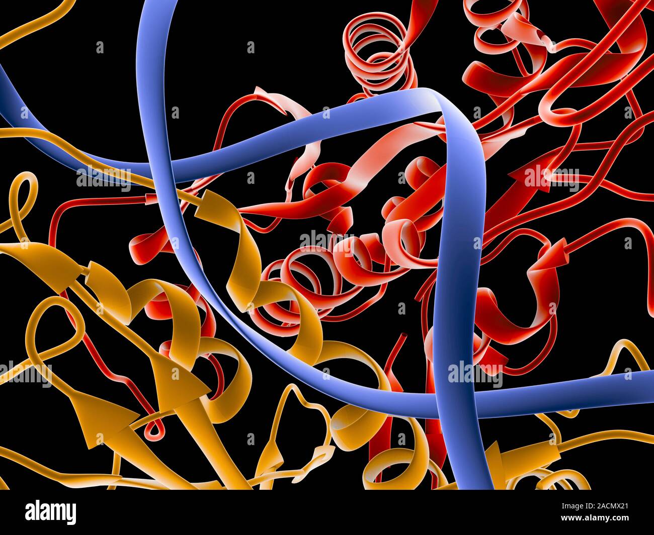 Restriction enzymes, sometimes called restriction endonucleases, are ...