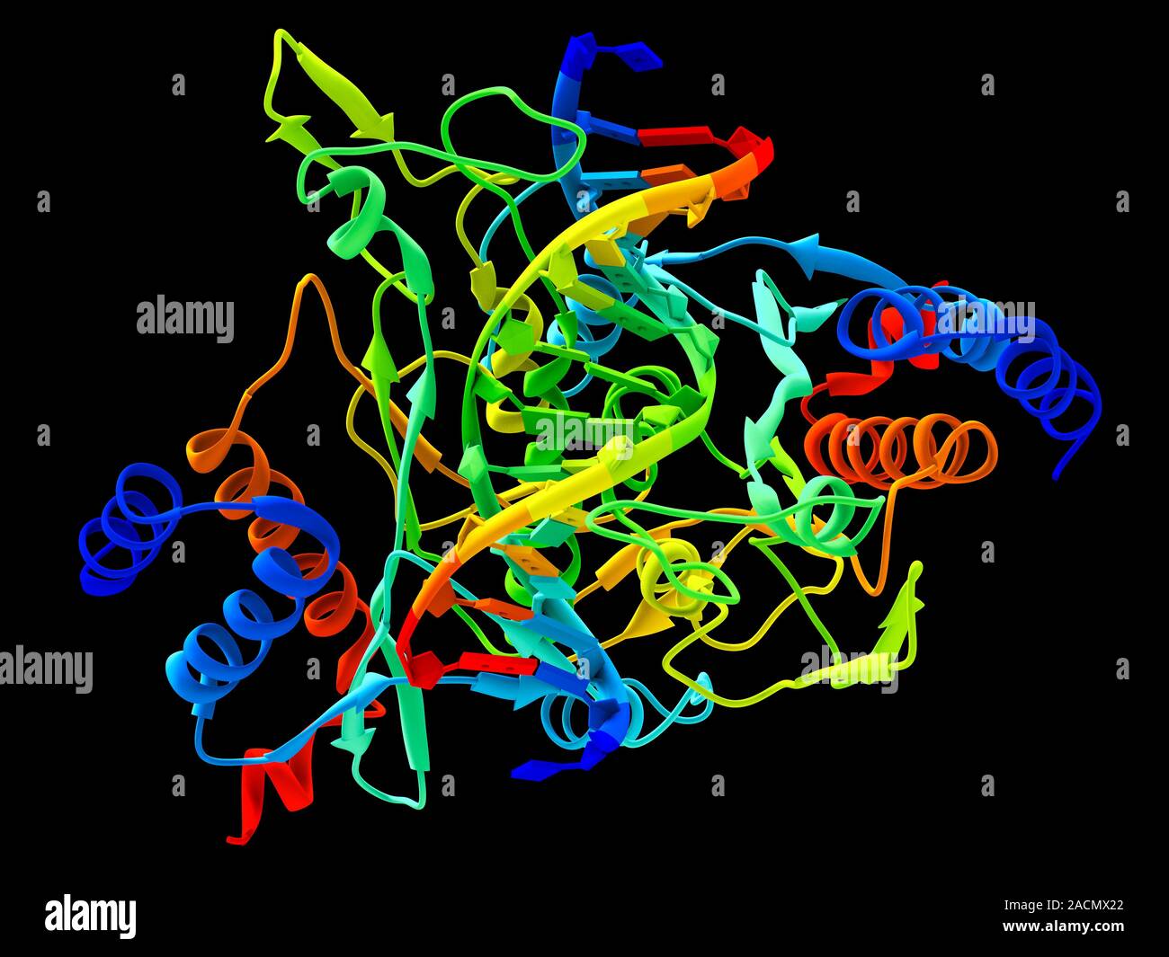 Restriction enzymes, sometimes called restriction endonucleases, are ...