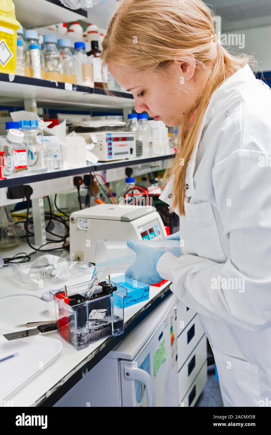 Kinase profiling. Researcher analysing protein kinase inhibitors to ...