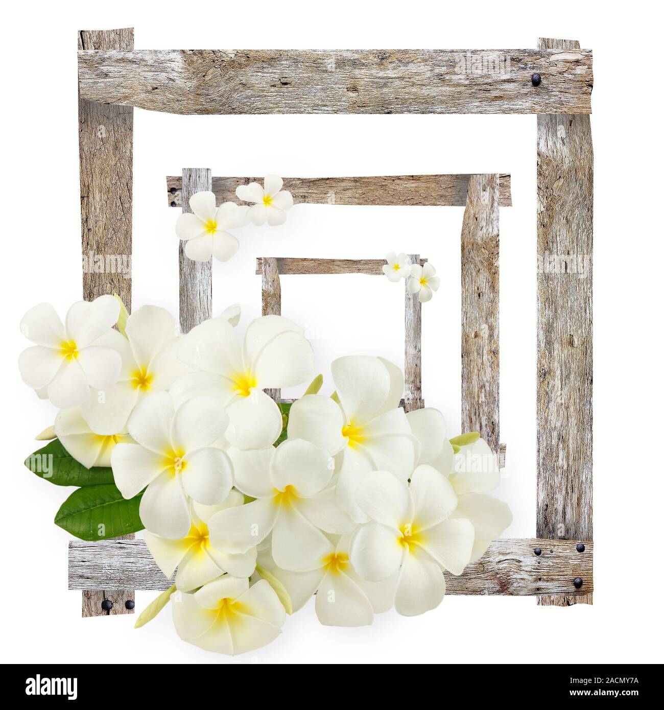 frame for artwork Stock Photo Alamy