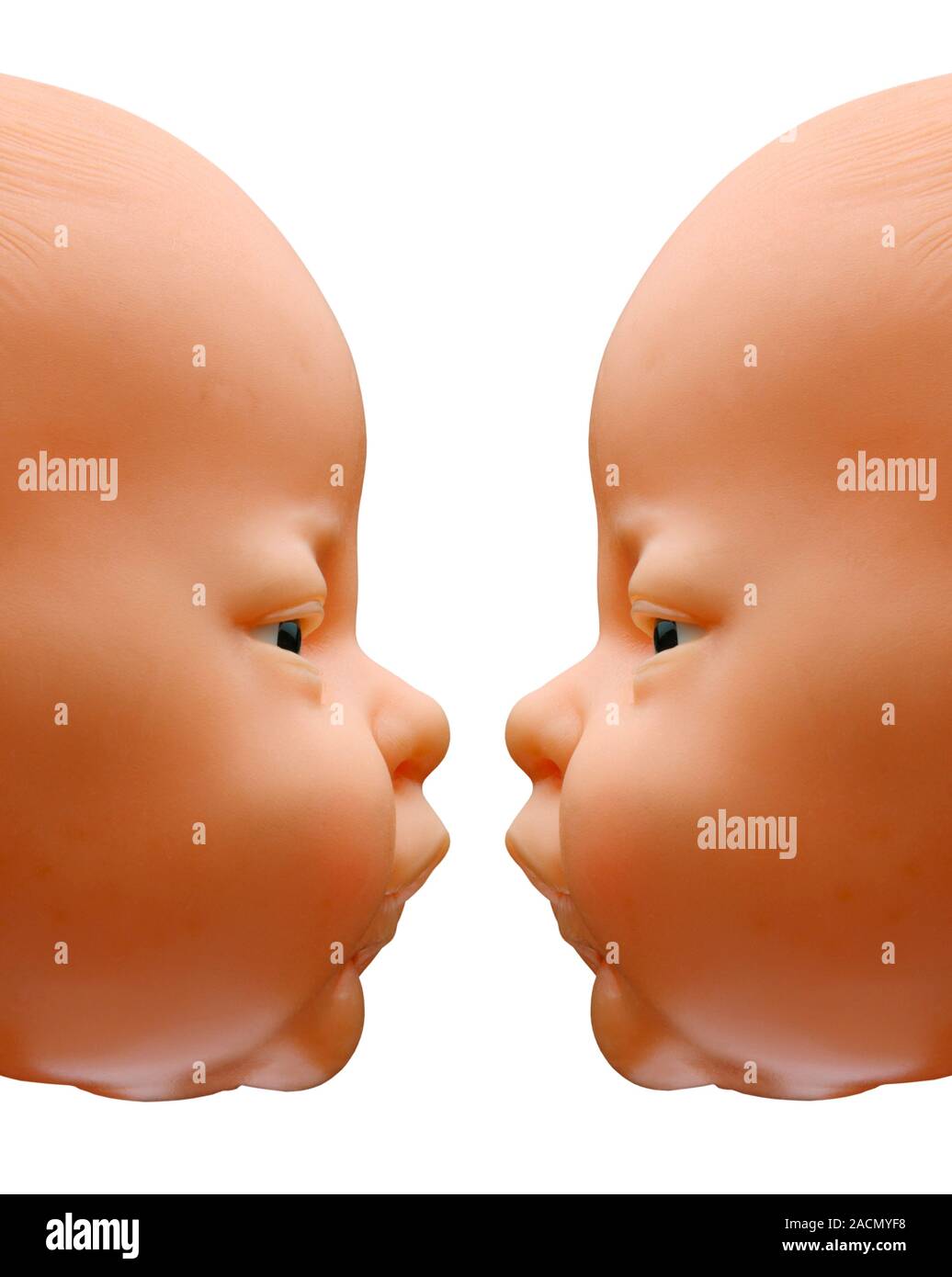 Human baby clones. Conceptual image of two identical human babies