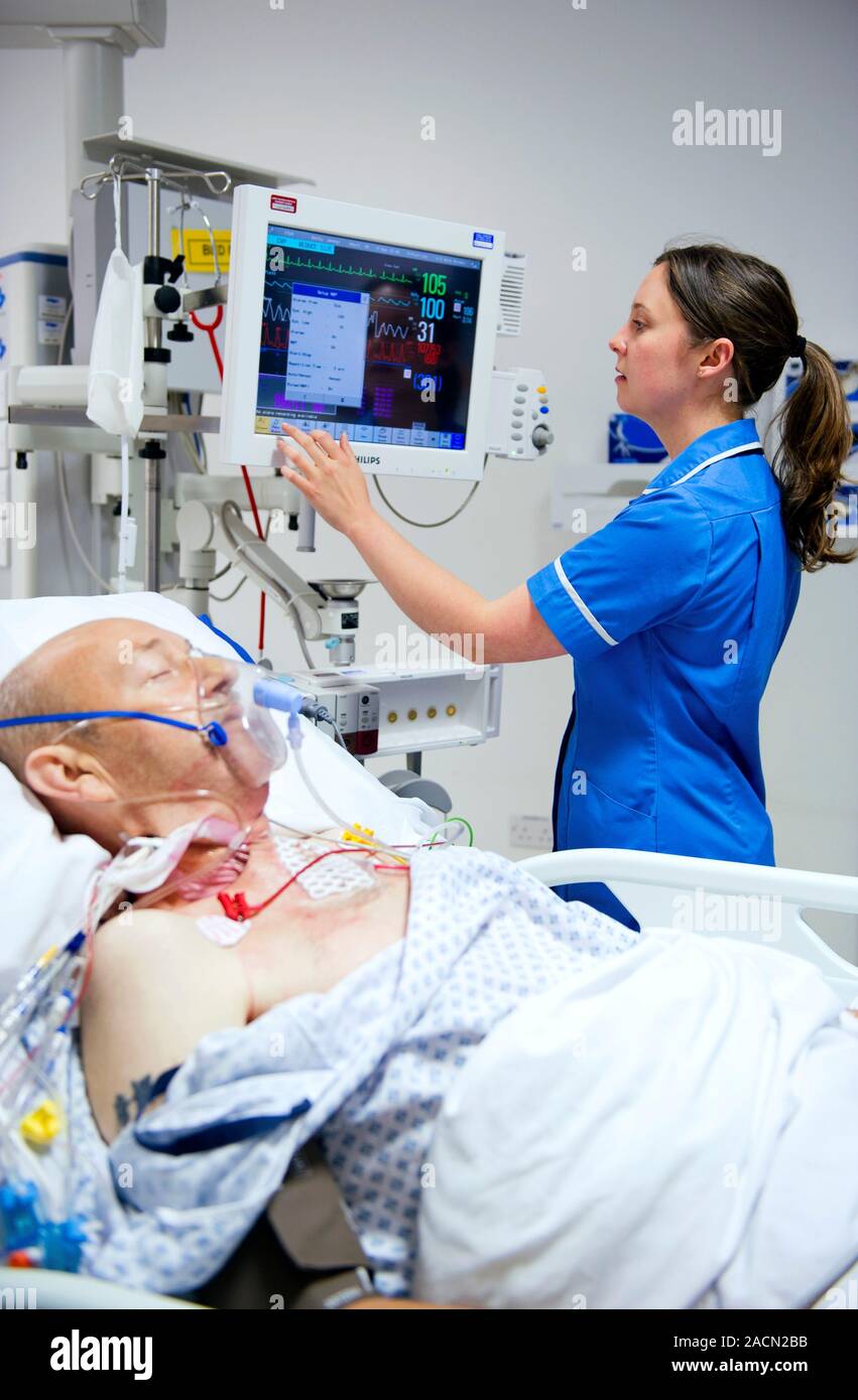 Intensive care patient. Nurse attending to a male patient in the ...