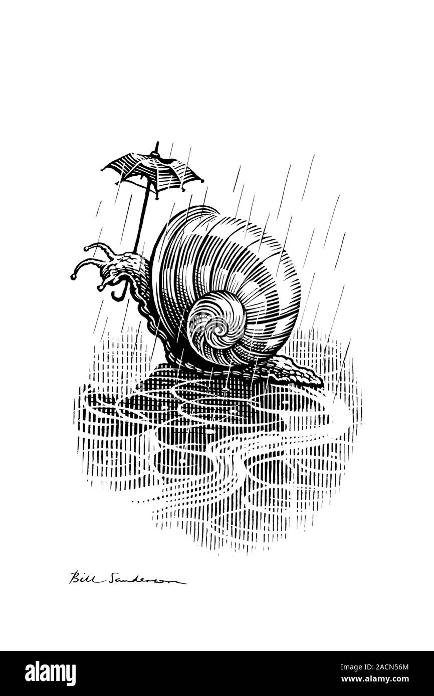 Snail with umbrella, satirical artwork. Snails and slugs, which need to