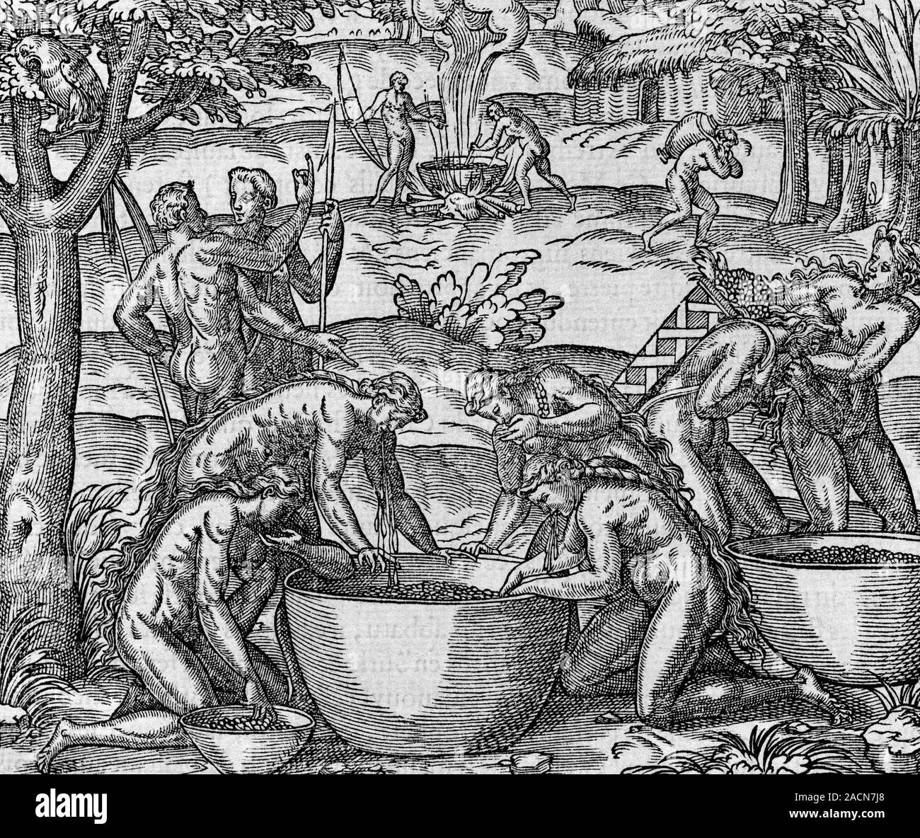 Caribbean millet brew. 16thcentury artwork of Caribbean women spitting