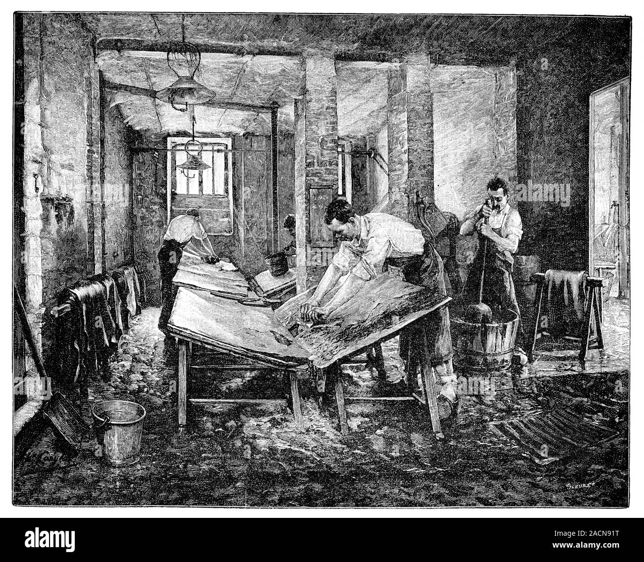 Tanning industry. 19thcentury artwork of workers at a tanning factory