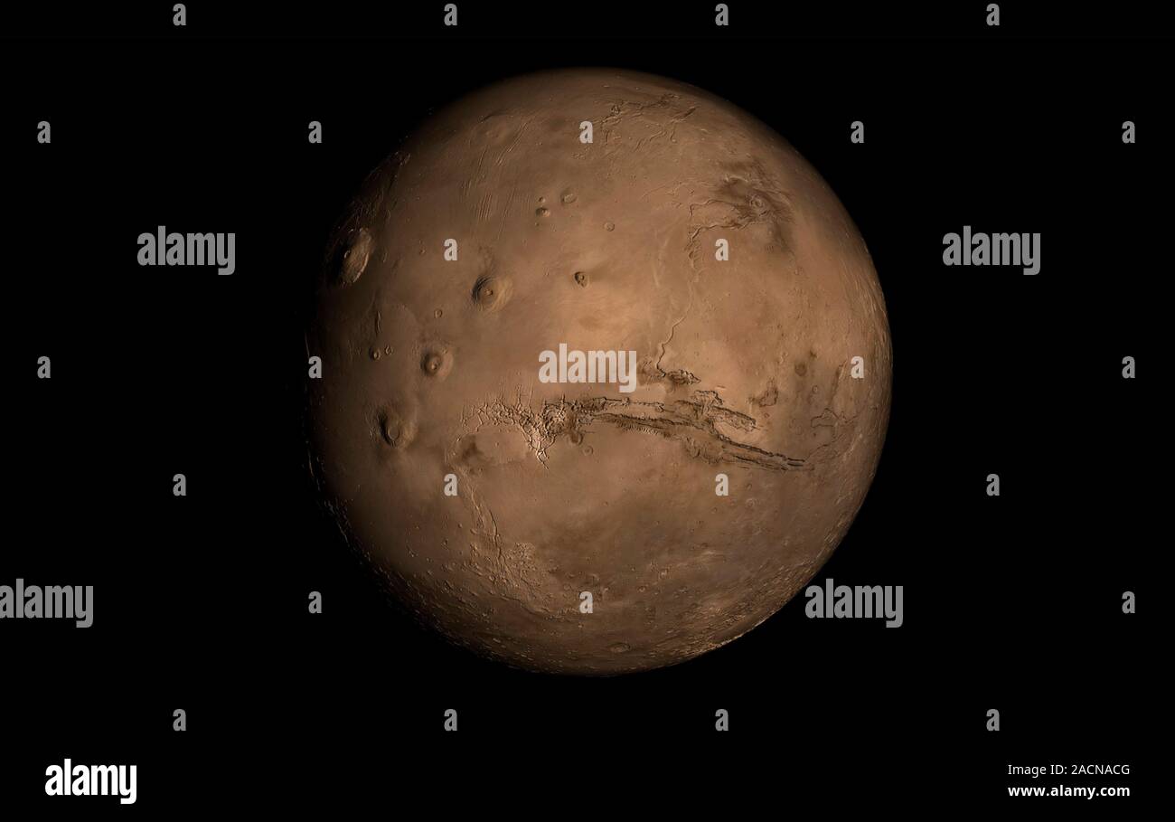 Mars topography. Computer artwork based on satellite images, showing ...