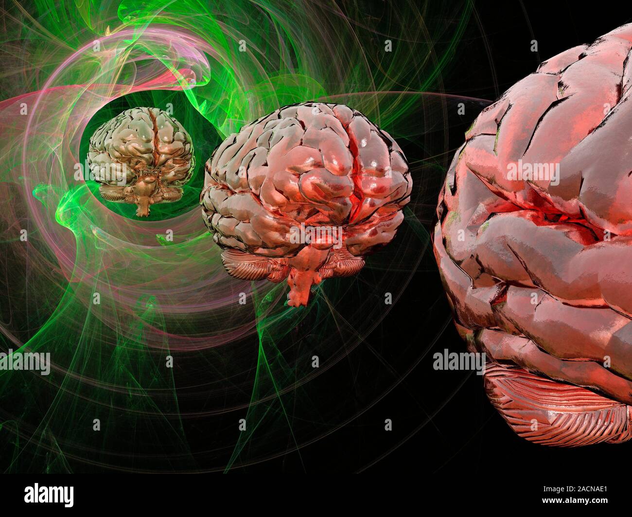 Brain activity, conceptual computer artwork. Stock Photo