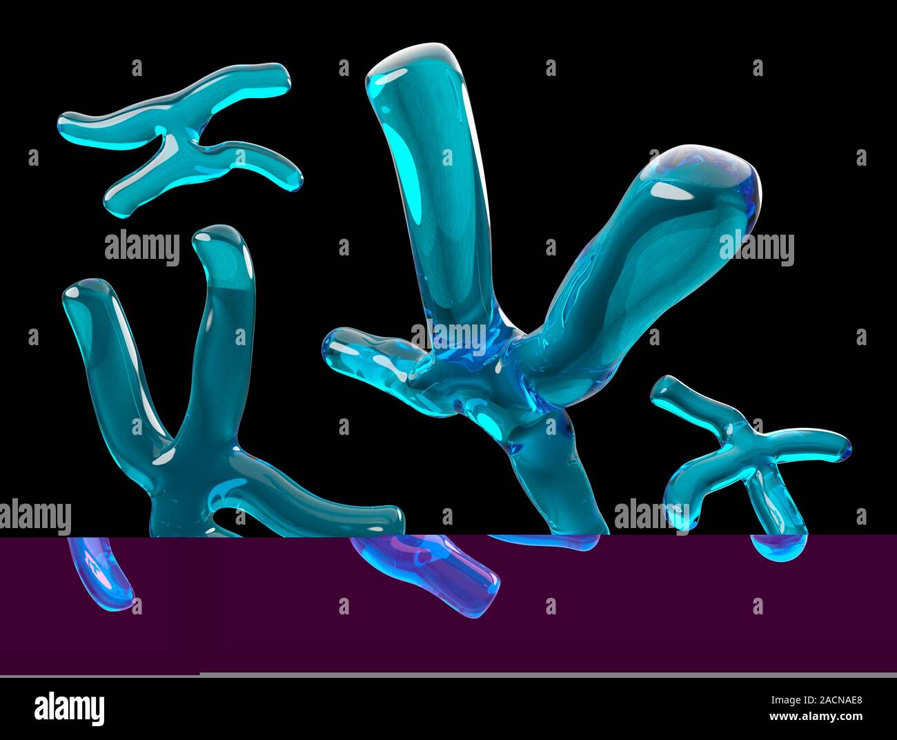 Chromosomes. Computer artwork of human chromosomes. Chromosomes are ...