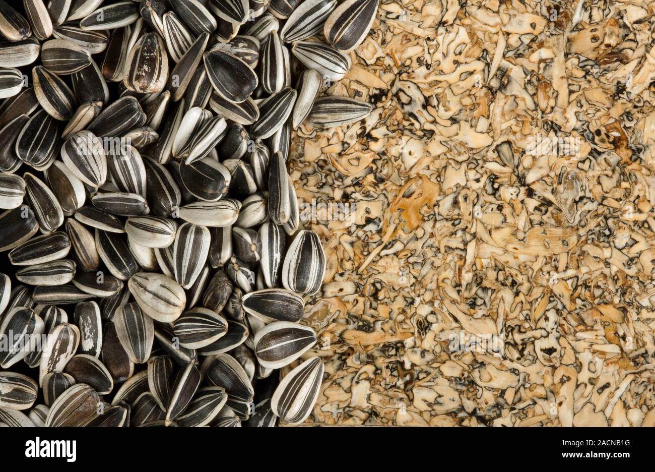 Sunflower seed board and seeds. Closeup of wooden board made using sunflower (Helianthus annuus