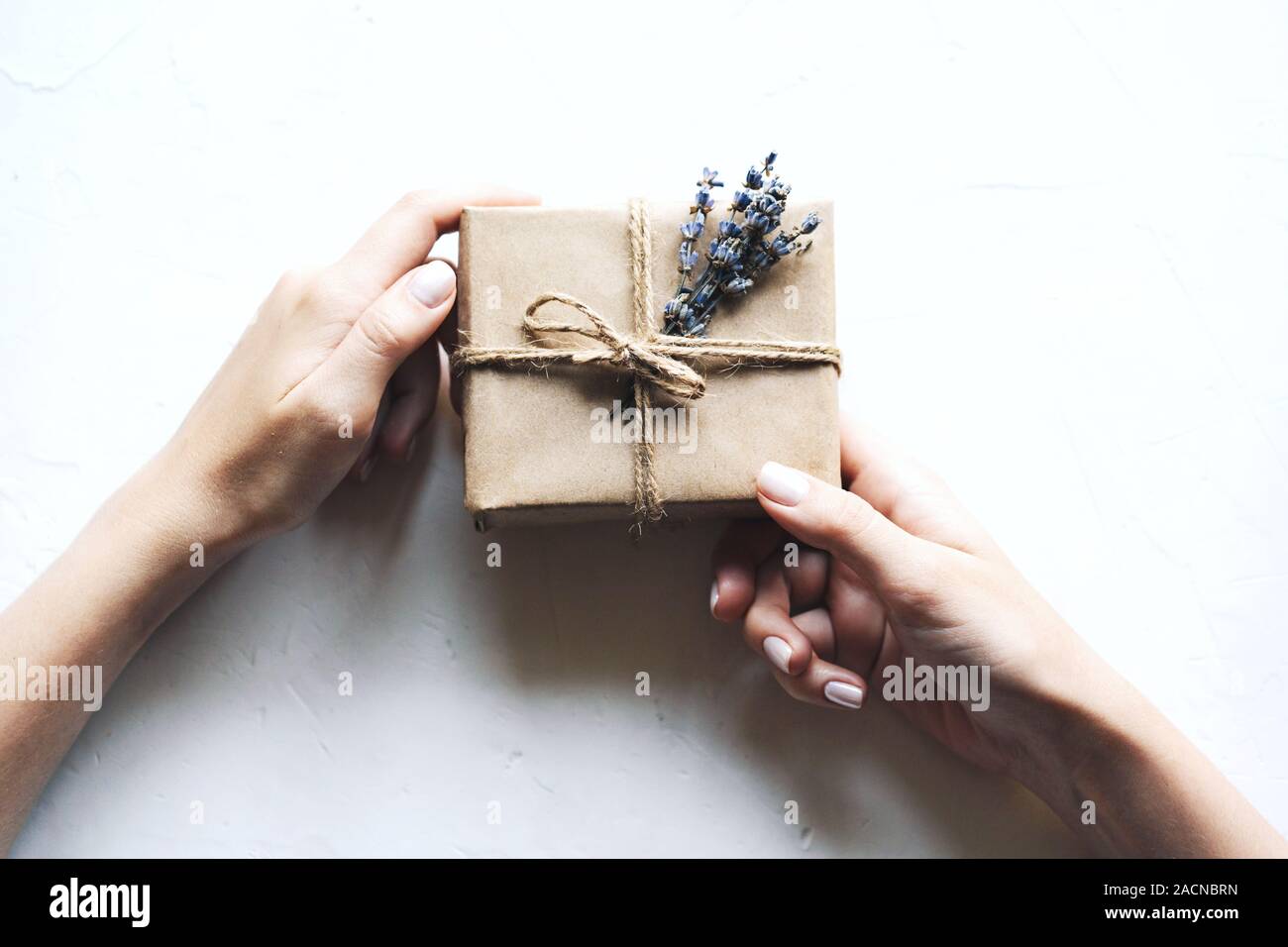 A gift box in a simple concise paper package with a bouquet of lavender in hands Stock Photo