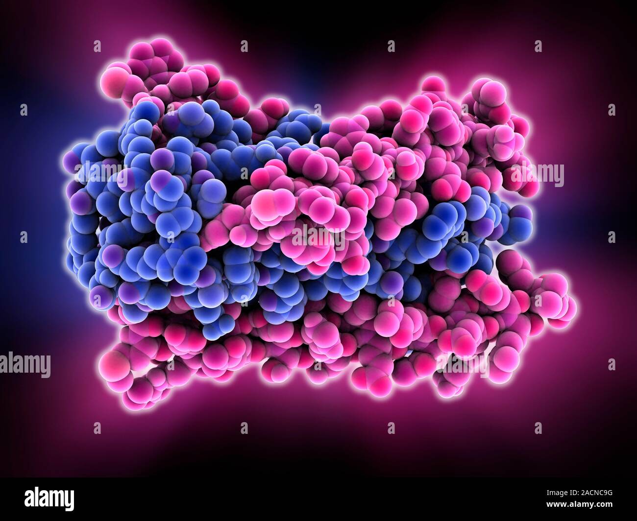 HIV gp41 glycoprotein. Model showing the molecular structure of the