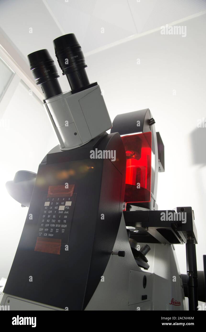 Fluorescence microscope. Light microscope used in fluorescence