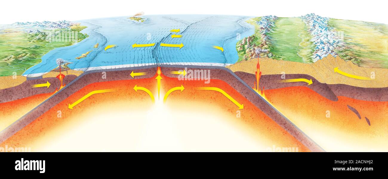 Plate tectonics. Diagram showing plate tectonics around an ocean basin