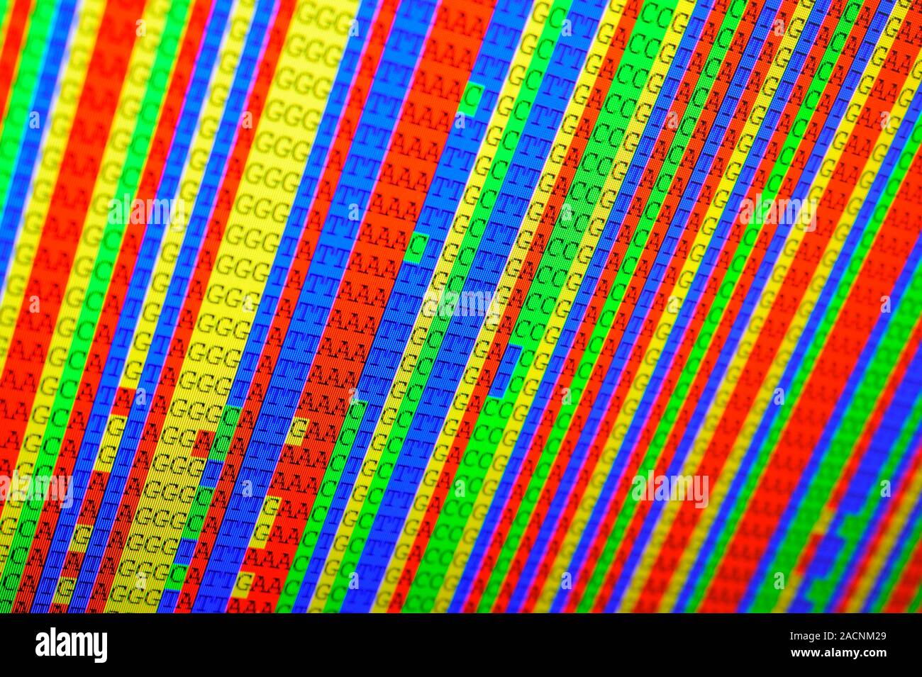 Fossil DNA analysis. Screen showing the sequence of nucleotides that
