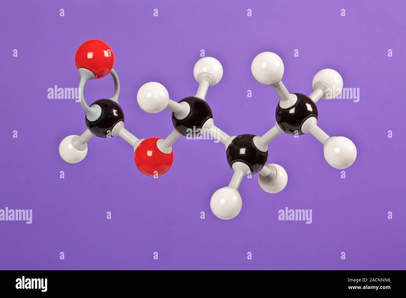 Propyl methanoate, molecular model. The molecular formula of this organic chemical is C4.H8.O2