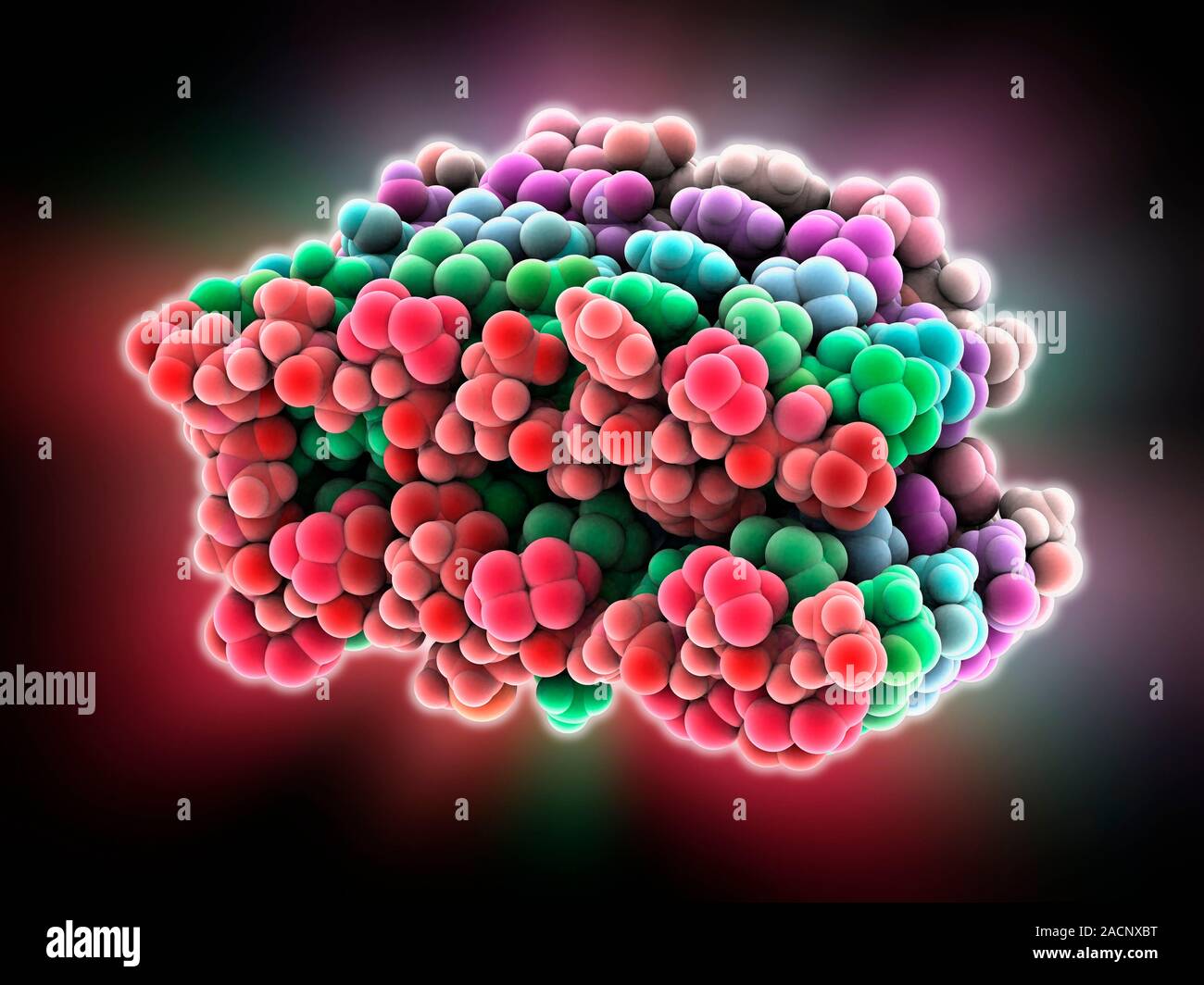 Amyloid beta protein. Molecular model showing the structure of amyloid