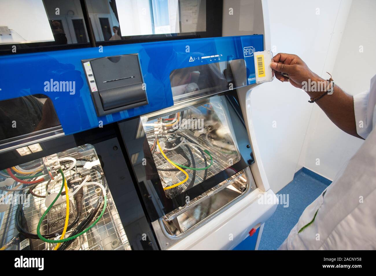 Endoscope sterilisation. Technician checking the identification labels of endoscopes that are